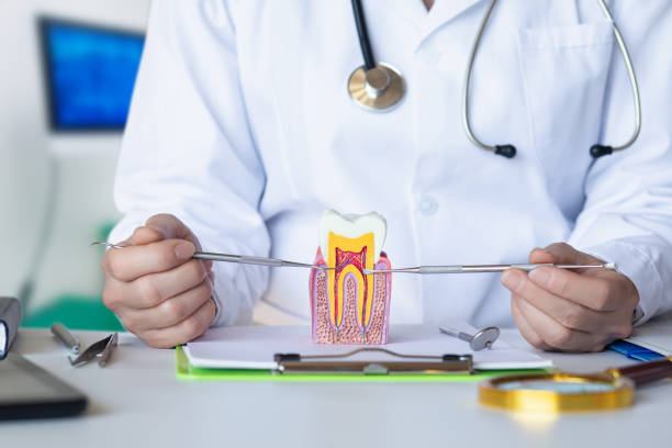 Best Emergency Root Canal Treatment in Eggertsville, NY